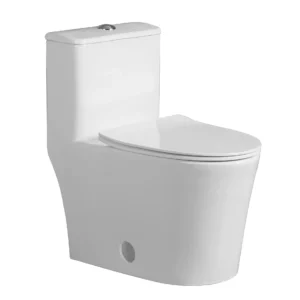 C-07-T-8890 white one-piece toilet with elongated seat and modern skirted base
